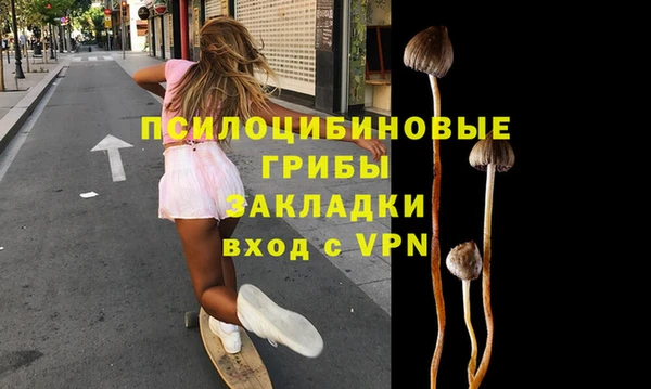 стафф Снежногорск