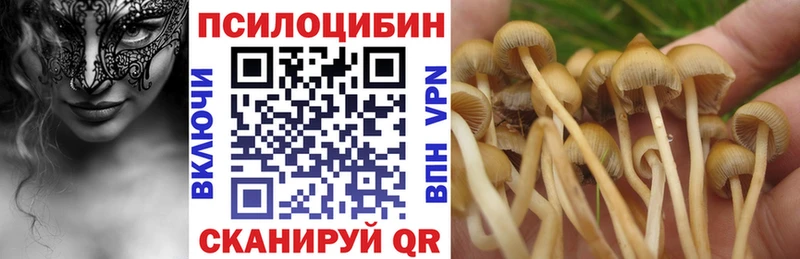 мега   Михайлов  Галлюциногенные грибы Cubensis 